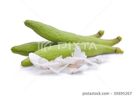 Tabebuia aurea pods isolated on white background Tabebuia aurea pods isolated on white background 30895267