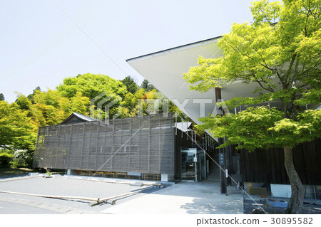 Tomei-shi Forest stage 30895582