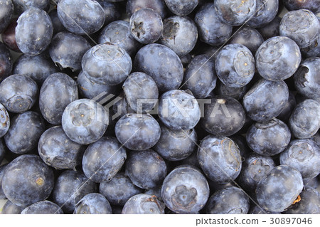 fresh blueberry fruits closeup food background fresh blueberry fruits closeup food background 30897046