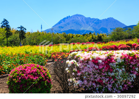 有明森林花卉公園強姦開花平成新山觀 有明森林花卉公園強姦開花平成新山觀 30897292