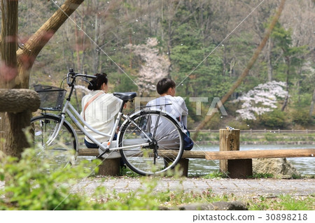 It is a couple sitting on a bench and taking a cherry-blossom viewing It is a couple sitting on a bench and taking a cherry-blossom viewing 30898218