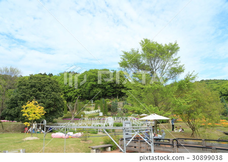 Yamaguchi Flower Land 30899038