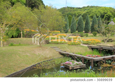 Yamaguchi Flower Land 30899039