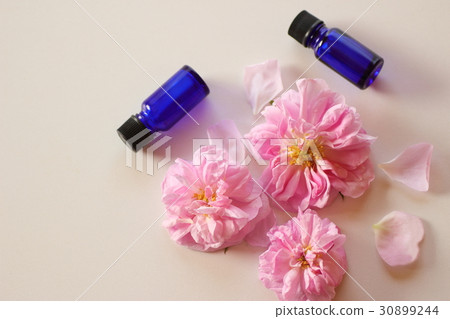 Damask rose 30899244