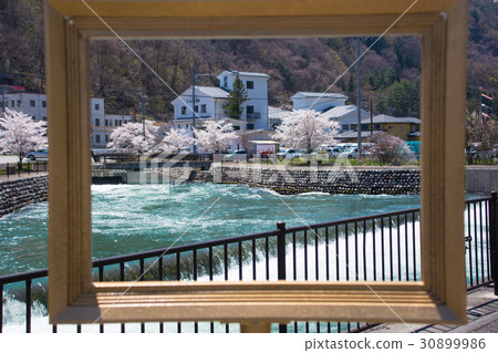 Shinjima Spring Shinjimashima站Azusikawa公園框架圖片和櫻花 30899986