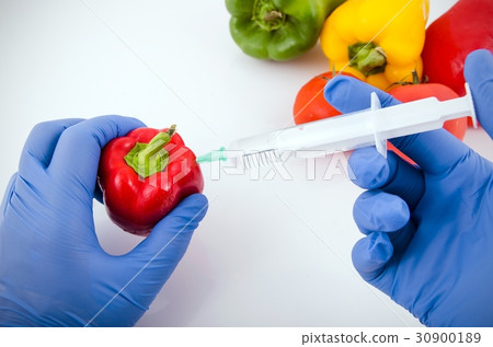 Man working with pepper, in genetic lab Man working with pepper, in genetic lab 30900189
