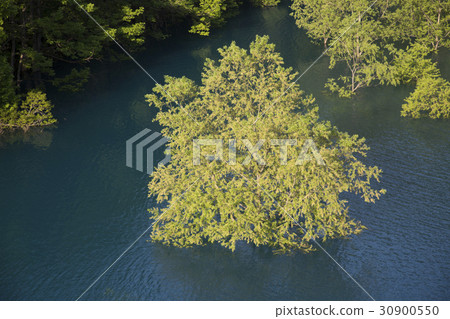 Akita prefecture Semboku city Akagane lake Lake in the lake 30900550