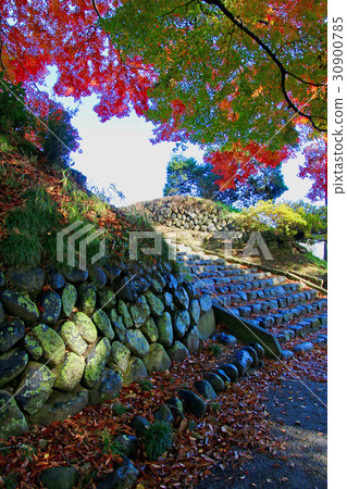 Soma Nakamura城堡遺址（索馬市）的秋葉 30900785