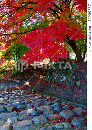 Soma Nakamura城堡遺址（索馬市）的秋葉 30900787