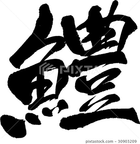 海鰻 海鰻 30903209