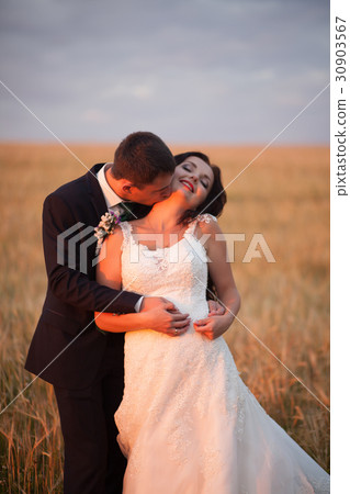 Beautiful romantic wedding couple of newlyweds 30903567