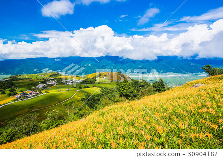 台灣花蓮富里六十石山金針花海Asia Taiwan Hualien Mountains 30904182
