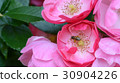 Roses and bees 30904226