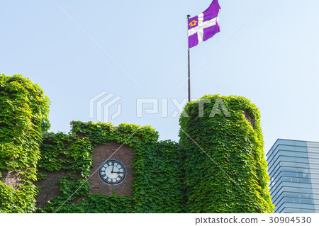 Rikkyo University Building 1 (Morris House) Rikkyo University Building 1 (Morris House) 30904530