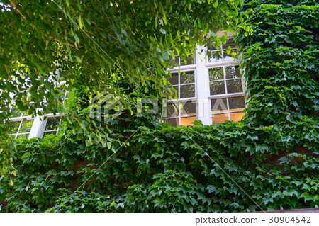 Rikkyo University Building 1 (Morris House) Rikkyo University Building 1 (Morris House) 30904542