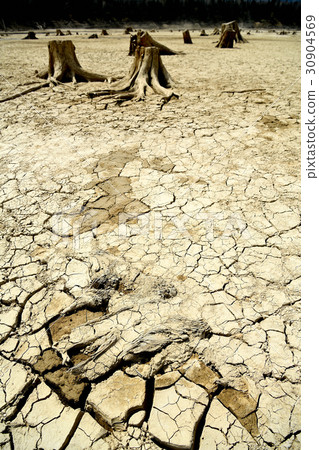 Towshu Betsu Bridge Towshu Betsu Bridge 30904569