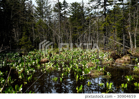 Lake Bryhee 30904659