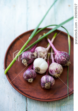 Young purple garlic Young purple garlic 30904927