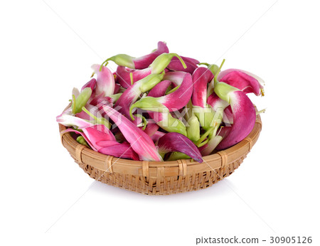 fresh red sesban or humming bird tree in basket 30905126