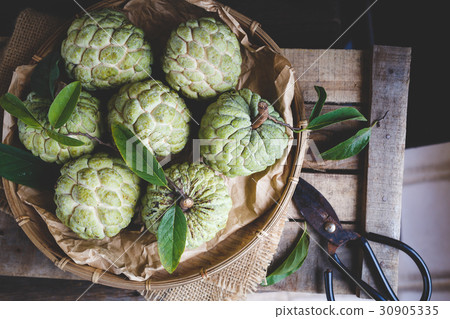 Custard Apple Fruits 30905335