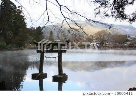 Torii Torii在湖中 30905411