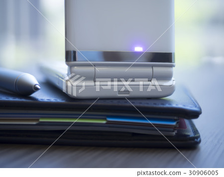Incoming mobile phone 30906005
