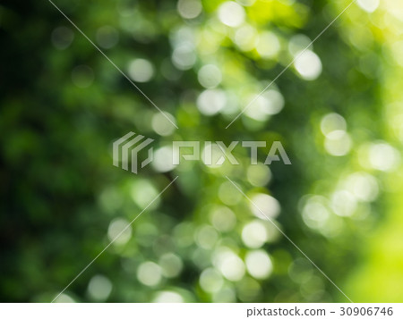 Abstract natural green bokeh background 30906746