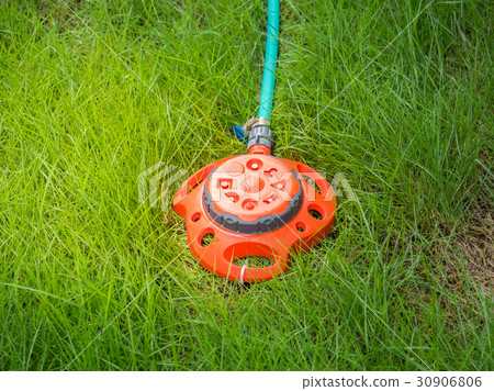springer water On Grass Field.in The backyard 30906806