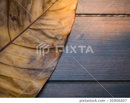 leaf dry on wood floor  30906807