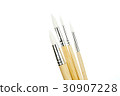 Paint brush isolated  on white back ground 30907228
