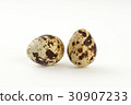 Quail egg isolated on white back ground 30907233