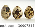 Quail egg isolated on white back ground 30907235