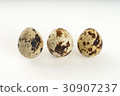 Quail egg isolated on white back ground 30907237