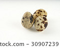 Quail egg isolated on white back ground 30907239