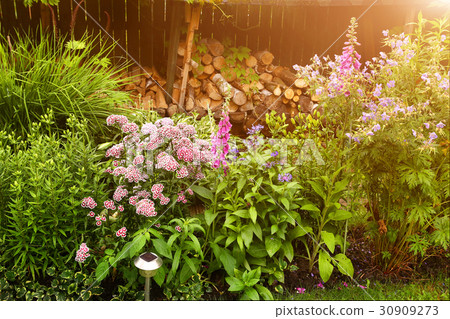 beauriful summer garden fragment with flower bed beauriful summer garden fragment with flower bed 30909273