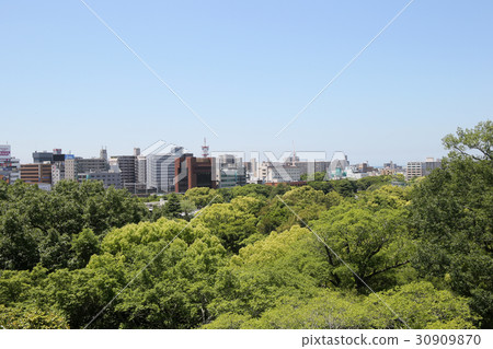 Fresh green and Akashi city 30909870