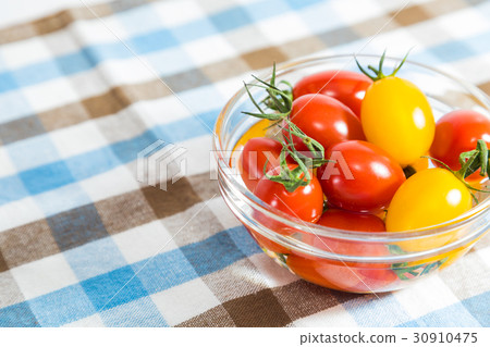 蕃茄黃色紅色檢查樣式 30910475