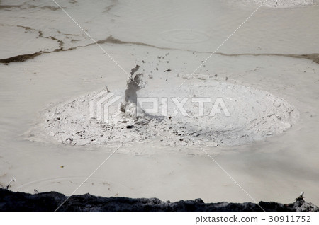 Rotorua Mud Pools 30911752