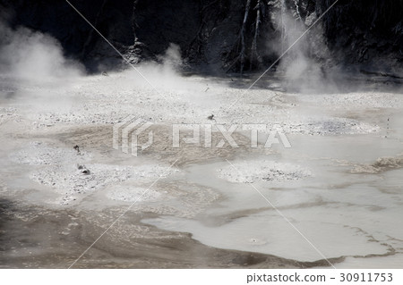 Rotorua Mud Pools 30911753