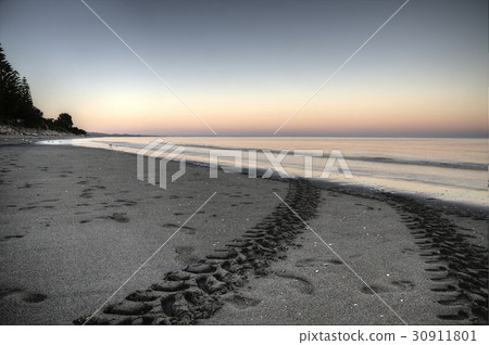 Beach Tracks Collingwood New Zealand 30911801