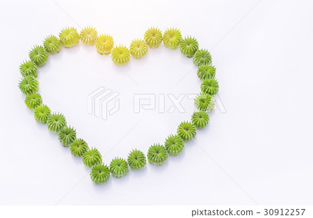 Abstract soft focus of Country mallow, Indian mall Abstract soft focus of Country mallow, Indian mall 30912257