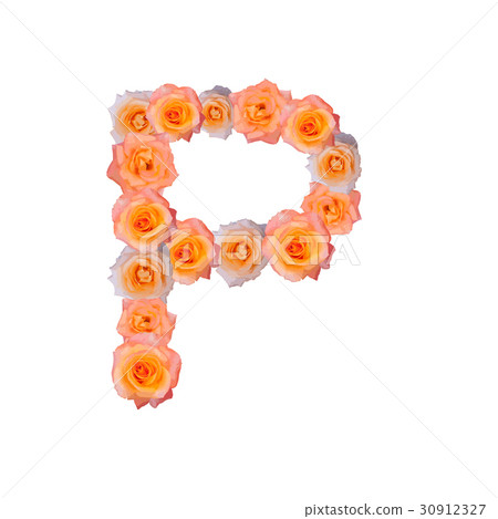 The letter P, in the Alphabet bloom roses The letter P, in the Alphabet bloom roses 30912327
