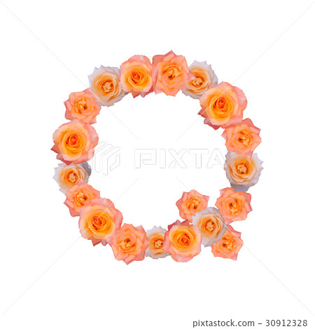 The letter Q, in the Alphabet bloom roses The letter Q, in the Alphabet bloom roses 30912328