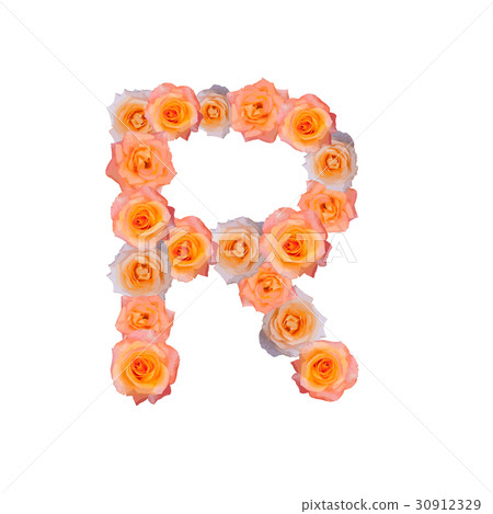 The letter R, in the Alphabet bloom roses The letter R, in the Alphabet bloom roses 30912329