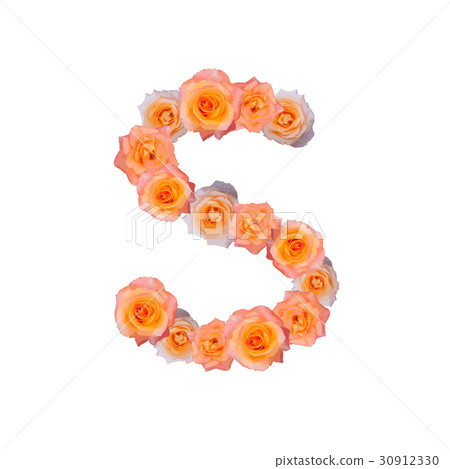 The letter S, in the Alphabet bloom roses The letter S, in the Alphabet bloom roses 30912330