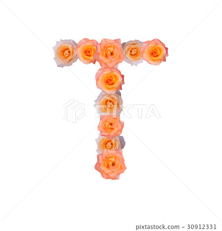 The letter T, in the Alphabet bloom roses The letter T, in the Alphabet bloom roses 30912331