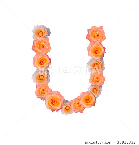 The letter U, in the Alphabet bloom roses The letter U, in the Alphabet bloom roses 30912332