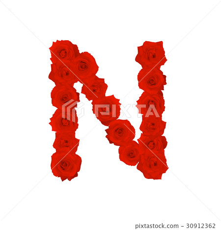 The letter N, in the Alphabet bloom red roses The letter N, in the Alphabet bloom red roses 30912362