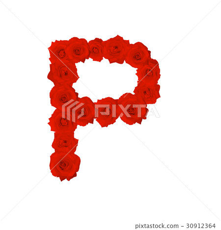 The letter P, in the Alphabet bloom red roses The letter P, in the Alphabet bloom red roses 30912364