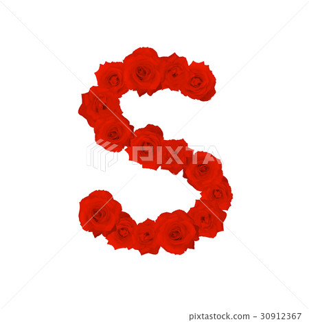 The letter S, in the Alphabet bloom red roses 30912367